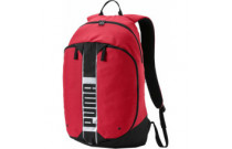 Backpacks and other sports bags